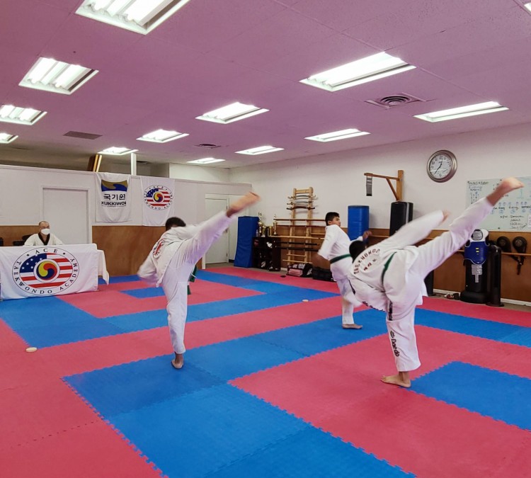 ace-taekwondo-academy-usa-photo